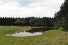 Teichneubau Hauptmannsgrün