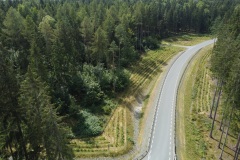 Waldvorpflanzung Bad Elster